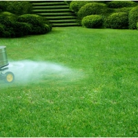 Lawn Fertilizing: Few Steps That You Should Know