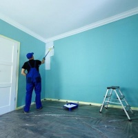 Transforming Your Home with the Best Wellington Painters